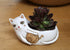 Rikaro - Baby White Cat With Yarn Planter