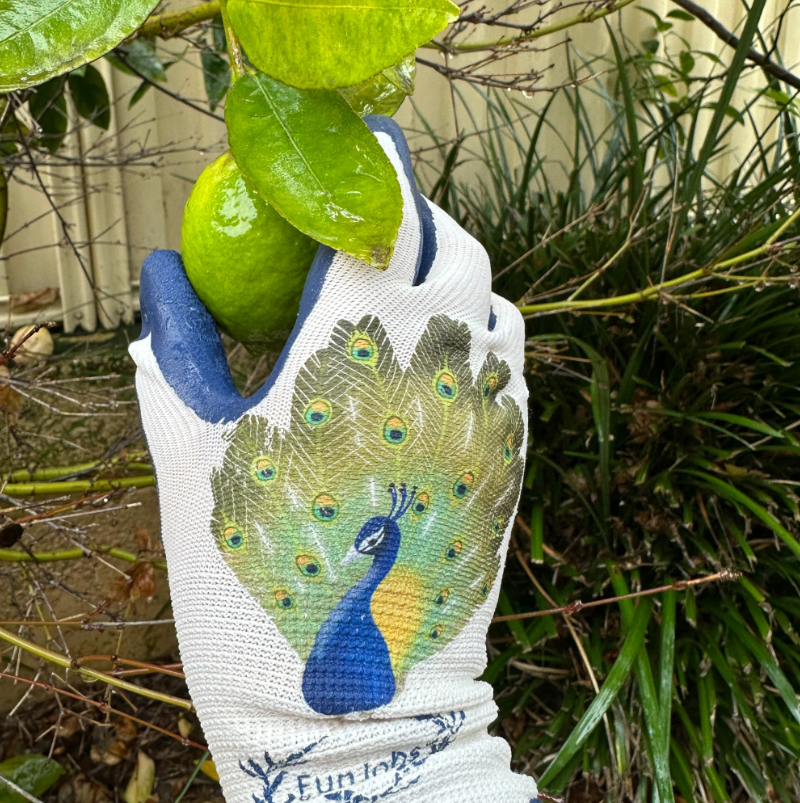 Funjobs Peacock Garden Gloves - Medium