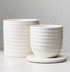 Ecology Ottawa Butter Keeper Calico