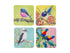 Maxwell & Williams Katherine Castle Bird Talk Cork Back Coaster 10.5cm Set Of 4